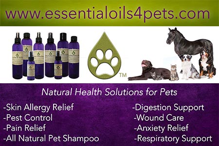 Endless Mt. Oil Blends for Pets